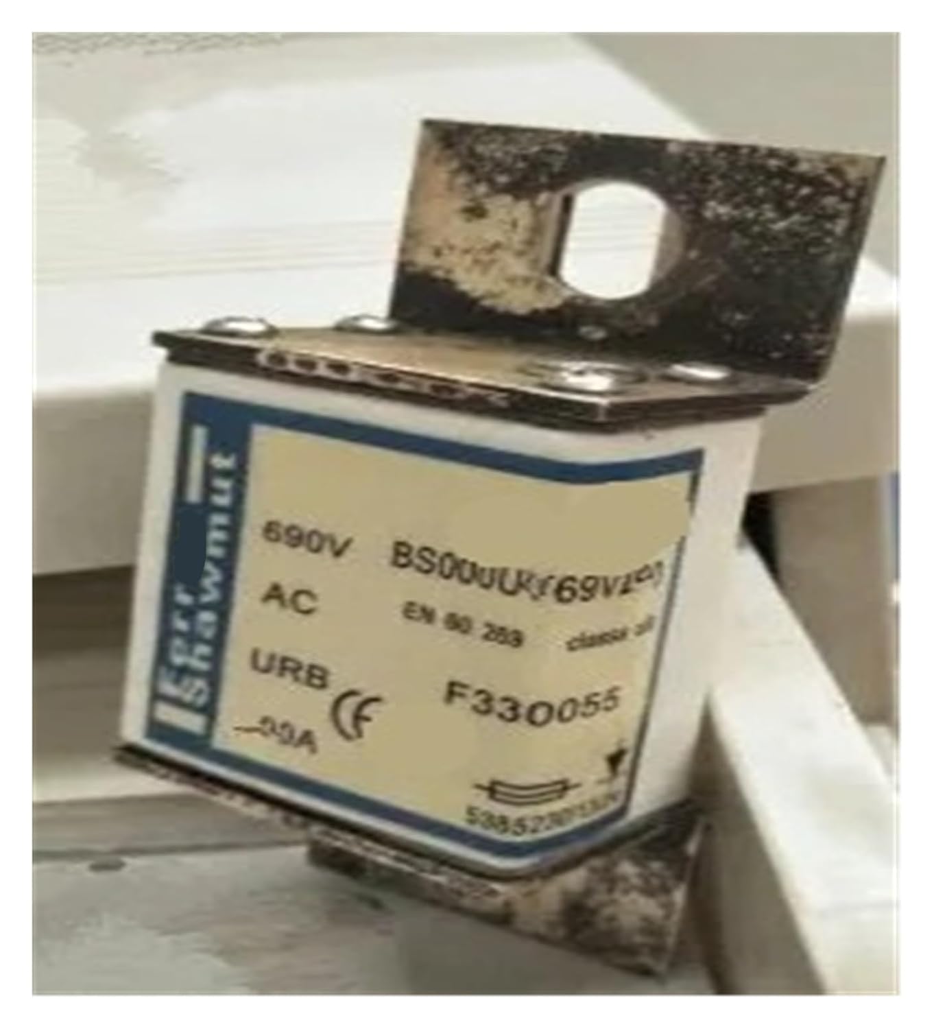 価値イサアク。イギリス。です。リス 【公式通販】